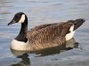 dsc_1089.jpg