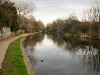 dsc_1286.jpg