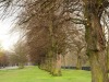 dsc_1292.jpg