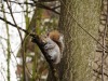 dsc_1294.jpg