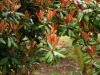 dsc_1299.jpg