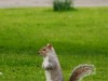 dsc_1300.jpg
