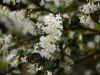 dsc_1302.jpg
