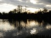 dsc_1307.jpg