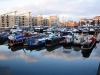dsc_1343.jpg
