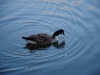 dsc_1347.jpg