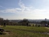 Hampstead Heath - February 21th, 2009