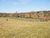 dsc_0135.jpg