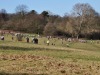 dsc_0141.jpg