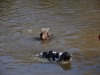 dsc_0147.jpg
