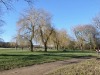 dsc_0150.jpg