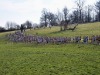 dsc_0153.jpg