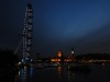 dsc_0404.jpg