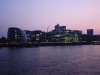 dsc_1010.jpg