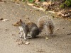 dsc_1297_2.jpg