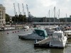 DSCN5113.jpg