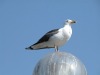 DSCN5142.JPG