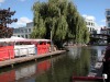 DSCN4700.JPG
