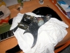 dscn6794.jpg