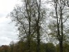 dscn6166.jpg