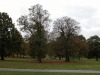 dscn6167.jpg