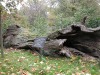dscn6187.jpg