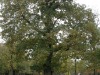 dscn6189.jpg