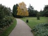 dscn6191.jpg