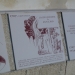 dscn5993.jpg