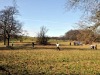 dsc_0108.jpg