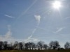 dsc_0168.jpg