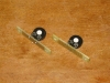 IMG_6662_crop.JPG