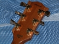 DSCN5102.JPG