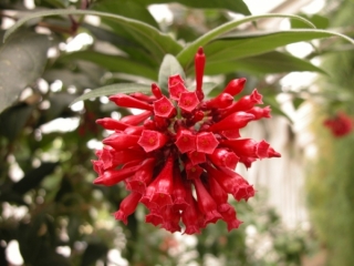 DSCN5219.JPG