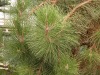 DSCN5207.JPG