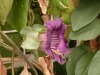 DSCN5208.JPG