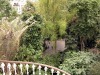 DSCN5209.JPG