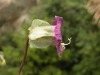 DSCN5210.JPG