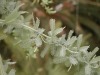 DSCN5212.JPG