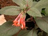 DSCN5214.JPG