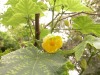 DSCN5217.JPG