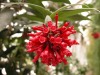 DSCN5219.JPG