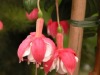DSCN5222.JPG