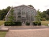 DSCN5223.JPG