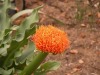 DSCN5225.JPG
