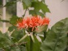 DSCN5227.JPG