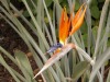 DSCN5228.JPG