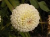 DSCN5230.JPG