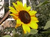 DSCN5232.JPG