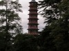 DSCN5233.JPG